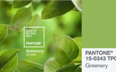 GREENERY – NATURE’S NEUTRAL PANTONE 2017 COLOUR OF THE YEAR